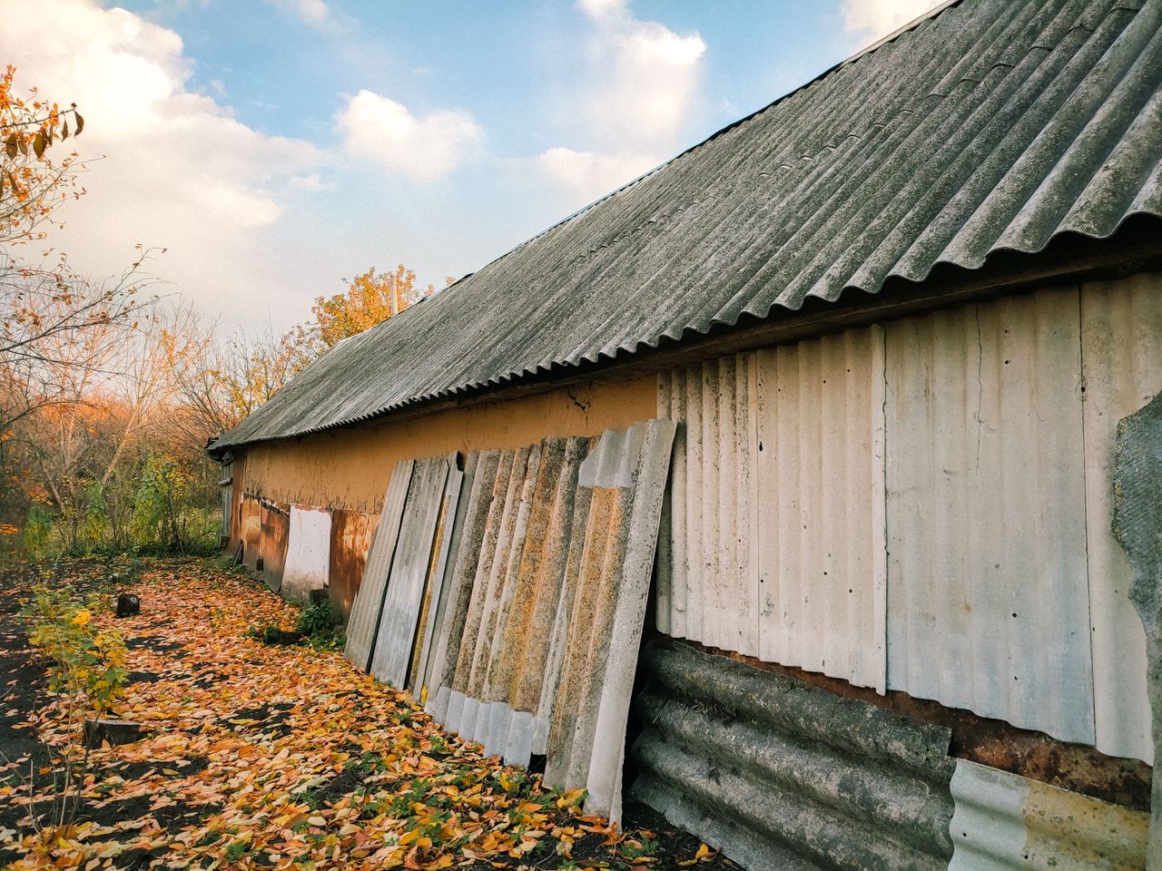 Rustic building with rusted metal cladding and fallen leaves in autumn setting.